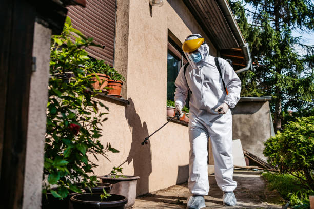 Best Pest Removal Services  in Sulphur, LA