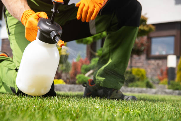 Best Insect Control  in Sulphur, LA