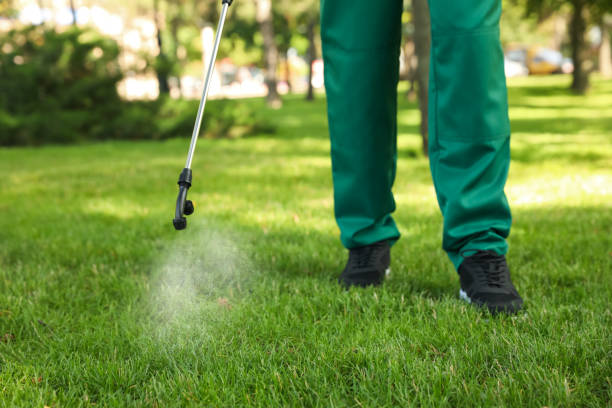 Insect Control in Sulphur, LA
