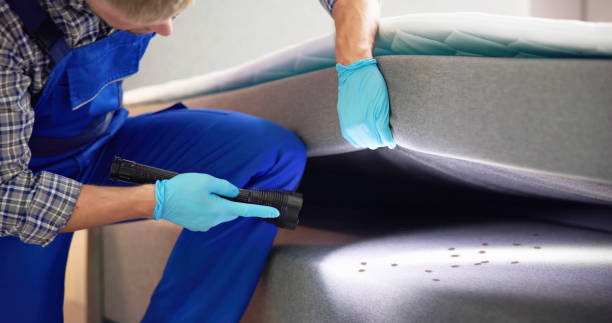 Best Bed Bug Extermination  in Sulphur, LA
