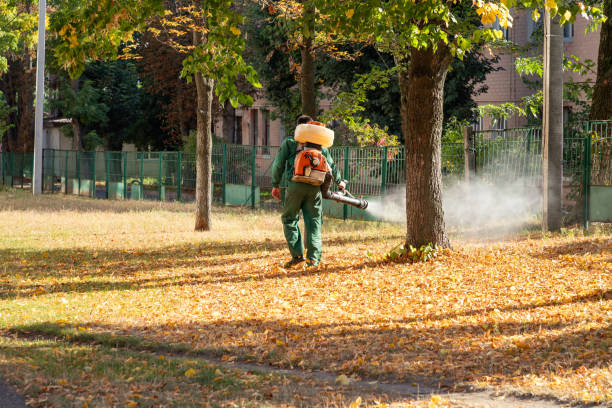 Professional Pest Control in Sulphur, LA