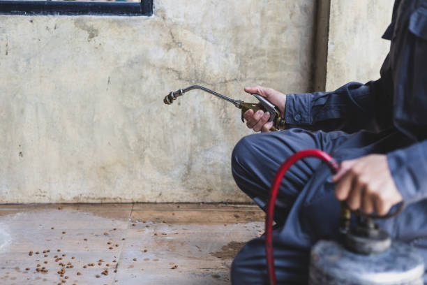 Pest Control for Restaurants in Sulphur, LA